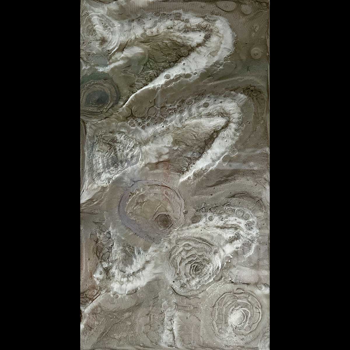 Sibylle Hoppe Kunstharz auf Aludibond 28 x 50 cm Fosilien