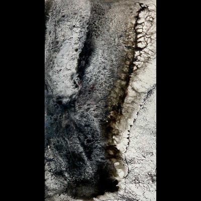 Sibylle Hoppe Kunstharz auf Aludibond 40 x 70 cm Adern des Lebens