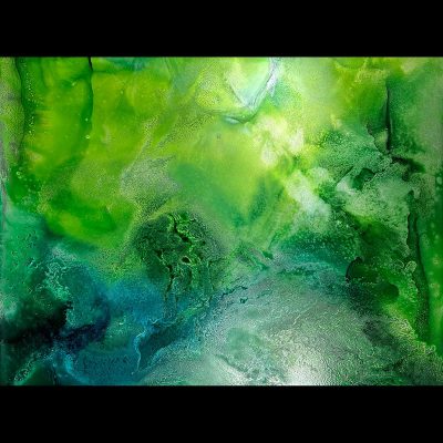 Sibylle Hoppe Tinte auf Aludibond  60 x 80 cm grüne Oase